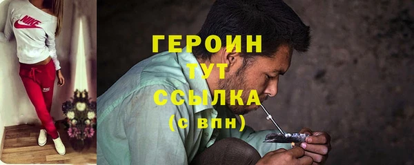 крисы Бородино