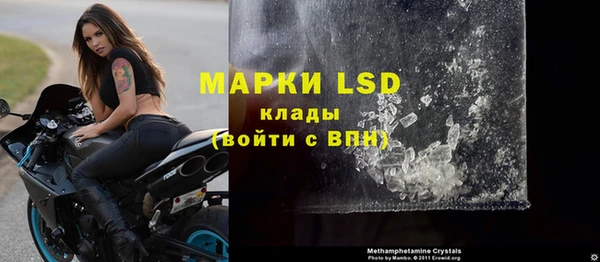 прущие грибы Бугульма
