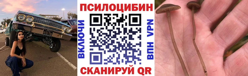 Галлюциногенные грибы мухоморы  Новое Девяткино 